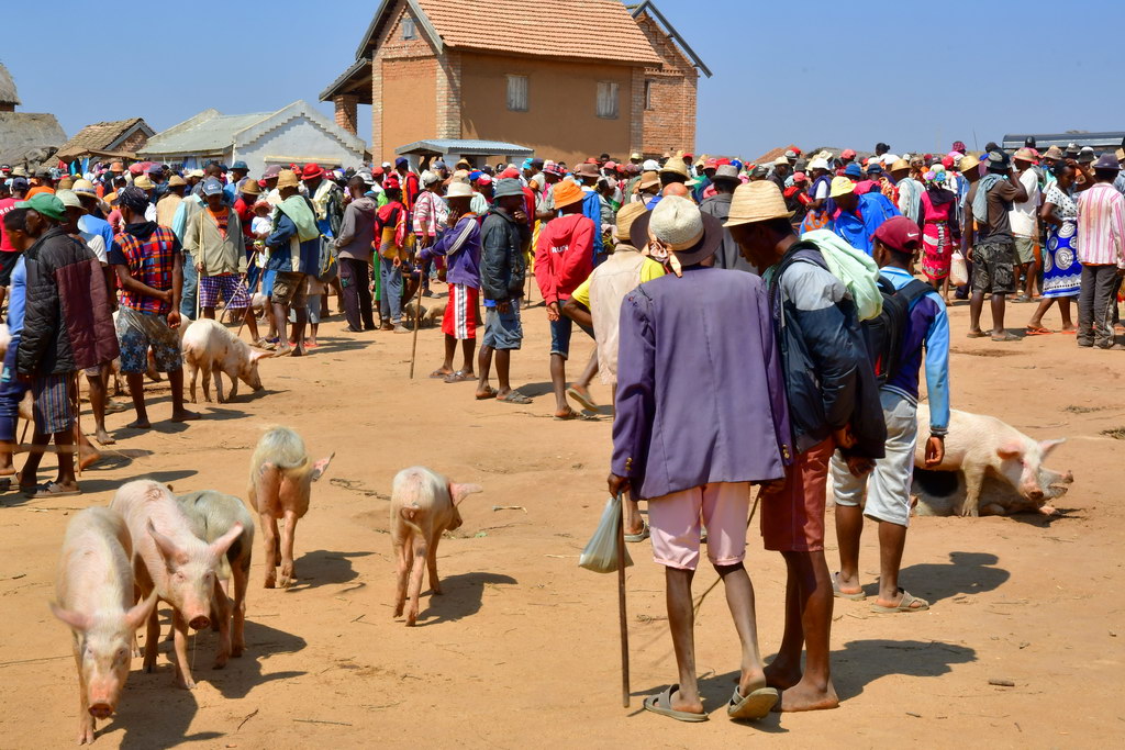 Fianarantsoa to Ambositra